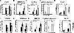 HDAC6 Antibody in ChIP Assay (ChIP)