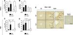 PAI1 Antibody in Immunohistochemistry (IHC)