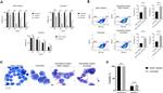 CD11b Antibody in Flow Cytometry (Flow)