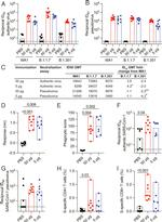 CD4 Antibody in Flow Cytometry (Flow)