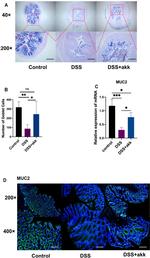 MUC2 Antibody in Immunohistochemistry (Paraffin) (IHC (P))