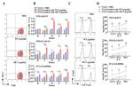 IFN gamma Antibody in Flow Cytometry (Flow)