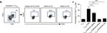 Rat IgG2a kappa Isotype Control in Flow Cytometry (Flow)