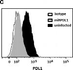 Mouse IgG1 kappa Isotype Control in Flow Cytometry (Flow)