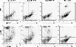 Ly-6G/Ly-6C Antibody in Flow Cytometry (Flow)