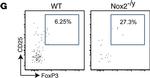 Rat IgG (H+L) Cross-Adsorbed Secondary Antibody in Flow Cytometry (Flow)