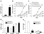 IL-21 Antibody in Immunohistochemistry, Flow Cytometry (IHC, Flow)