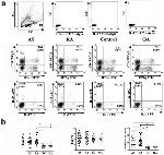 IL-22 Antibody in Flow Cytometry (Flow)