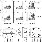 CD4 Antibody in Flow Cytometry (Flow)