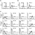 MHC Class I (H-2Kd/H-2Dd) Antibody in Flow Cytometry (Flow)