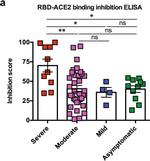 Mouse IgG Fc Secondary Antibody in ELISA (ELISA)
