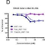 Human IgG (H+L) Cross-Adsorbed Secondary Antibody in ELISA (ELISA)