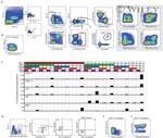 TIGIT Antibody in Flow Cytometry (Flow)