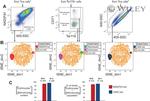 TER-119 Antibody in Flow Cytometry (Flow)