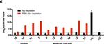 Mouse IgG Fc Secondary Antibody in ELISA (ELISA)