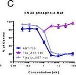 Human IgG (H+L) Cross-Adsorbed Secondary Antibody in ELISA (ELISA)