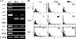 TLR4/MD-2 Complex Antibody in Flow Cytometry (Flow)