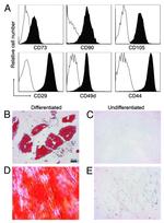 CD105 (Endoglin) Antibody in Flow Cytometry (Flow)