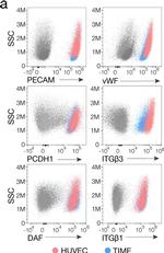 Human IgG (H+L) Cross-Adsorbed Secondary Antibody in Flow Cytometry (Flow)