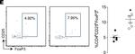 Rat IgG (H+L) Cross-Adsorbed Secondary Antibody in Flow Cytometry (Flow)