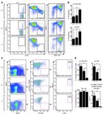 CD48 Antibody in Flow Cytometry (Flow)