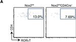 Rat IgG (H+L) Cross-Adsorbed Secondary Antibody in Flow Cytometry (Flow)