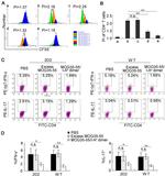 IL-17A Antibody in Flow Cytometry (Flow)