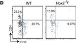 Rat IgG (H+L) Cross-Adsorbed Secondary Antibody in Flow Cytometry (Flow)