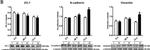 Rabbit IgG (H+L) Secondary Antibody in Western Blot (WB)