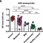 Mouse IgG Fc Secondary Antibody in ELISA (ELISA)