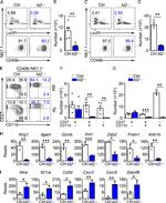 NK1.1 Antibody in Flow Cytometry (Flow)