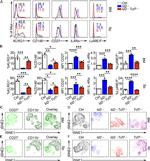 CD27 Antibody in Flow Cytometry (Flow)