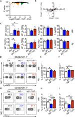 CD226 (DNAM-1) Antibody in Flow Cytometry (Flow)