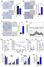 CD4 Antibody in Flow Cytometry (Flow)