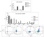 iNOS Antibody in Flow Cytometry (Flow)