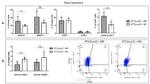 CD38 Antibody in Flow Cytometry (Flow)