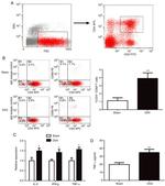 CD69 Antibody in Flow Cytometry (Flow)