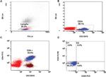 CD25 Antibody in Flow Cytometry (Flow)