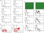 CD11b (activation epitope) Antibody in Flow Cytometry (Flow)