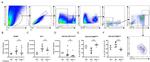 CD11c Antibody in Flow Cytometry (Flow)