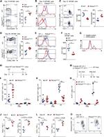 CD127 Antibody in Flow Cytometry (Flow)