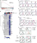 CD25 Antibody in Flow Cytometry (Flow)