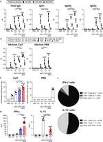 IL-13 Antibody in Flow Cytometry, ELISA (Flow, ELISA)