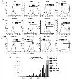 CD80 (B7-1) Antibody in Flow Cytometry (Flow)