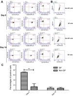 CD44 Antibody in Flow Cytometry (Flow)