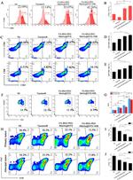 CD45 Antibody in Flow Cytometry (Flow)