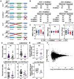 Ly-6A/E (Sca-1) Antibody in Flow Cytometry (Flow)