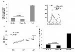 CD69 Antibody in Flow Cytometry (Flow)