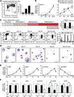 CD235a (Glycophorin A) Antibody in Flow Cytometry (Flow)