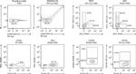 CD105 (Endoglin) Antibody in Flow Cytometry (Flow)